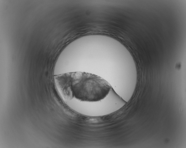 X0000115720277200911121110
