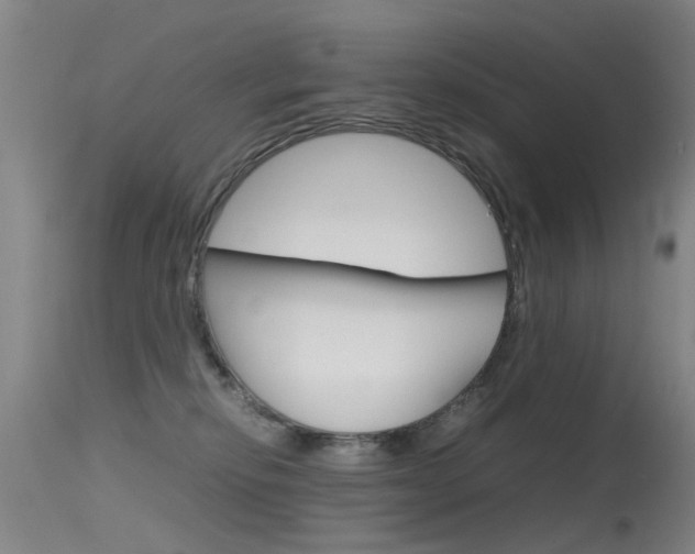 X0000115720278200911121110