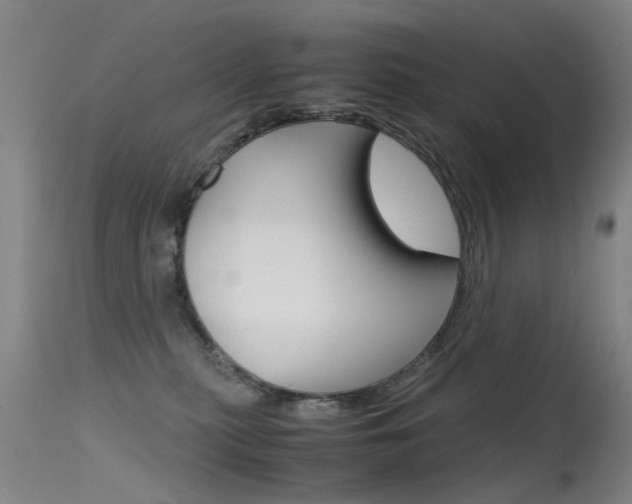 X0000115720279200911121110