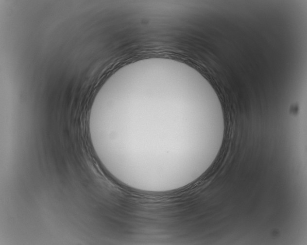 X0000115720280200911121110