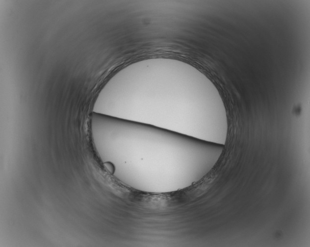 X0000115720282200911121110