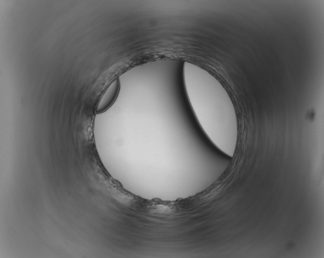 X0000115720285200911121110