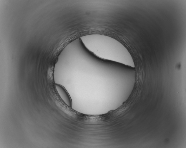X0000115720286200911121110