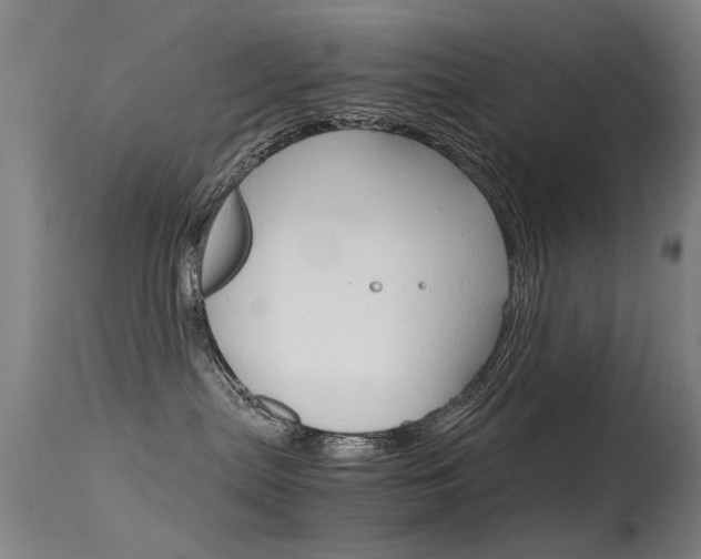 X0000115720287200911121110