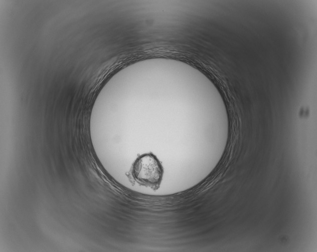 X0000115720288200911121110