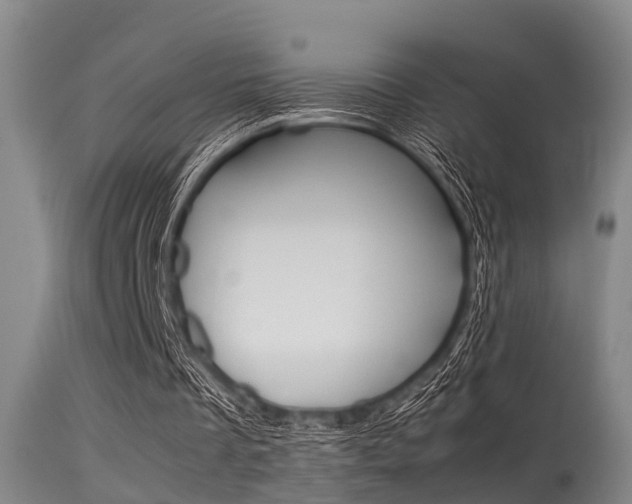 X0000115720289200911121110