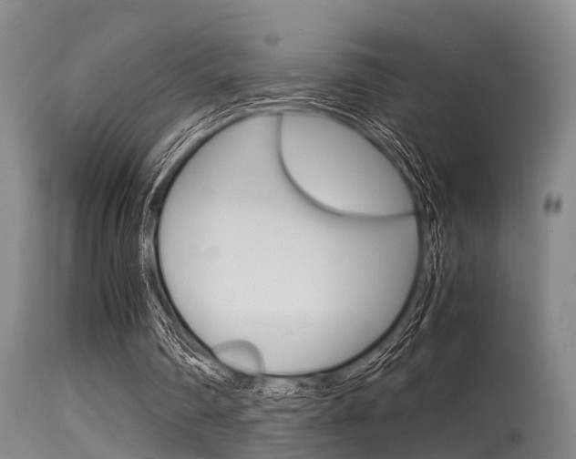X0000115720290200911121110