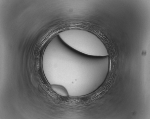X0000115720291200911121109