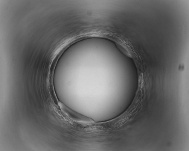 X0000115720292200911121109