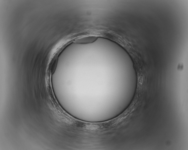 X0000115720294200911121109