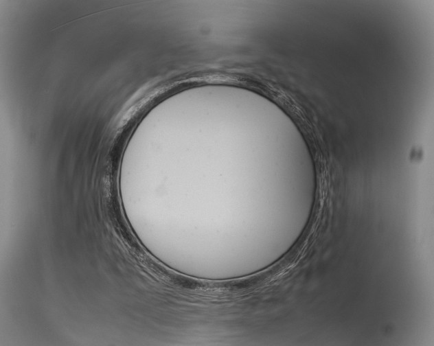 X0000115720295200911121109