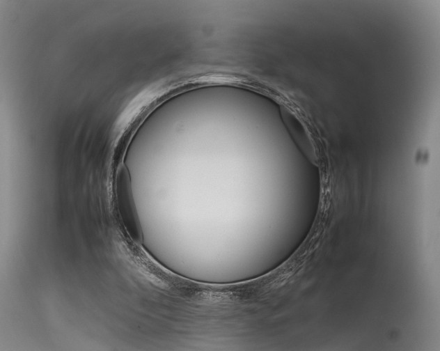 X0000115720296200911121109