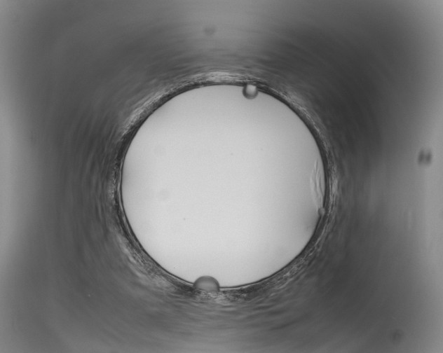 X0000115720297200911121109