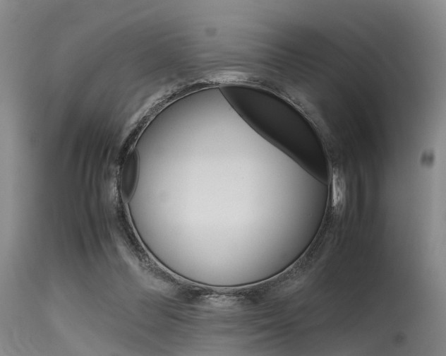X0000115720300200911121109