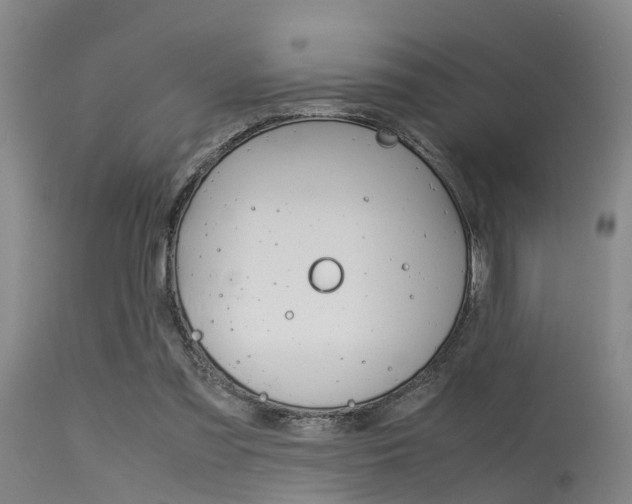X0000115720301200911121109