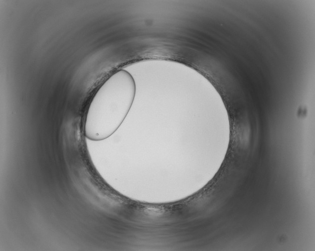 X0000115720302200911121109
