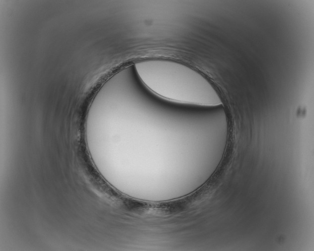 X0000115720303200911121109