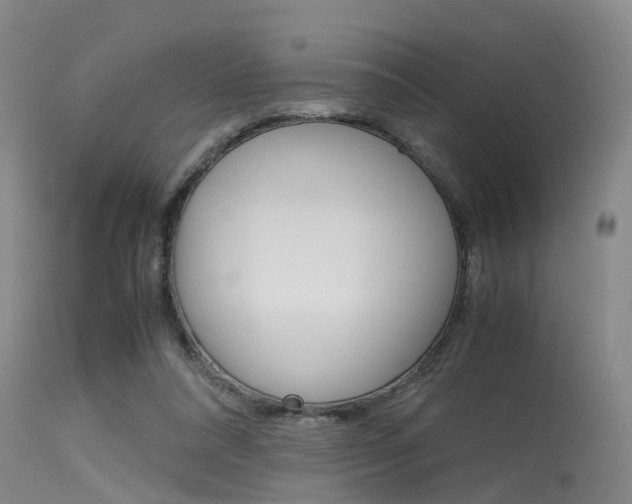 X0000115720304200911121109