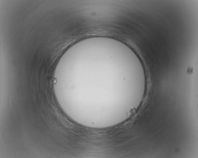 X0000115720305200911121109