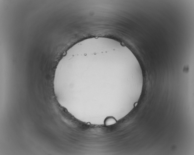 X0000115720307200911121109