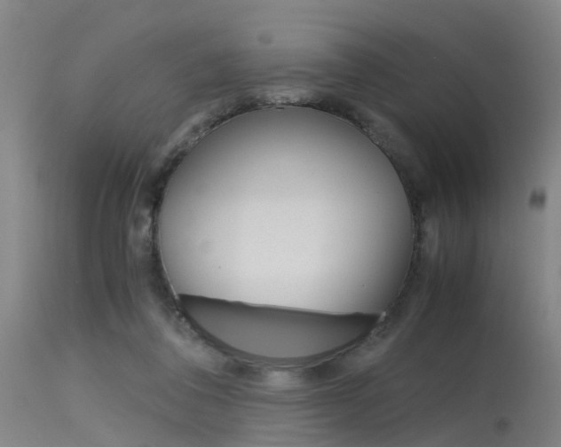 X0000115720308200911121109