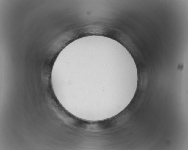 X0000115720309200911121109