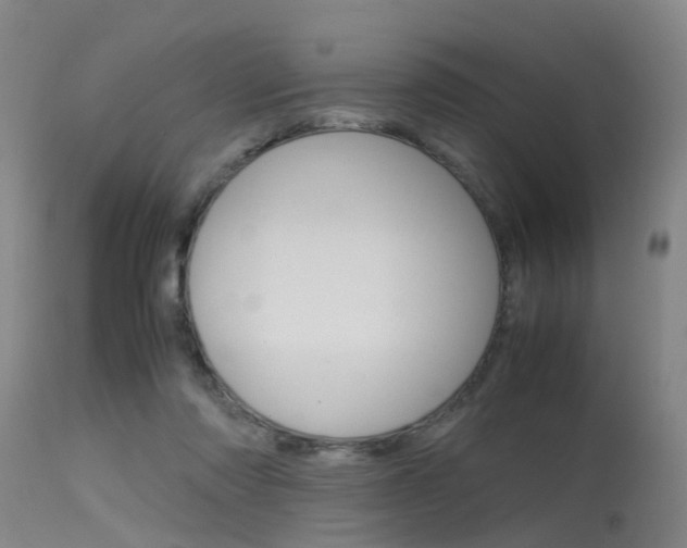 X0000115720310200911121109