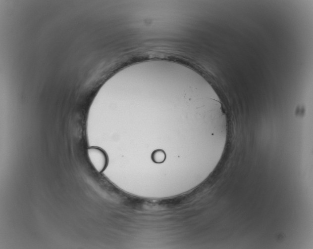 X0000115720311200911121109