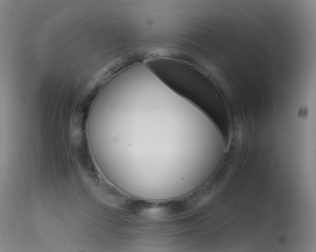 X0000115720312200911121109