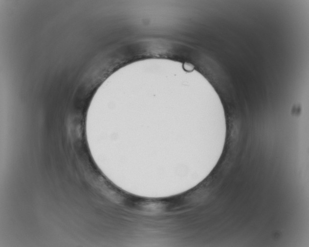 X0000115720313200911121109