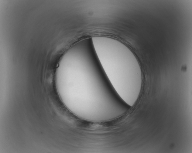 X0000115720315200911121109