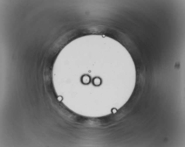 X0000115720317200911121109