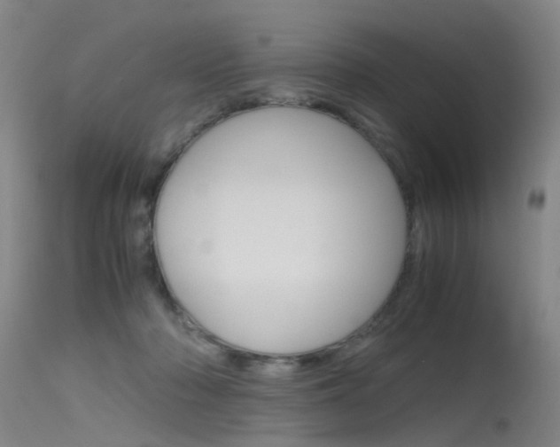 X0000115720318200911121109