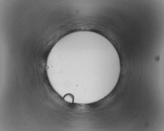 X0000115720321200911121109