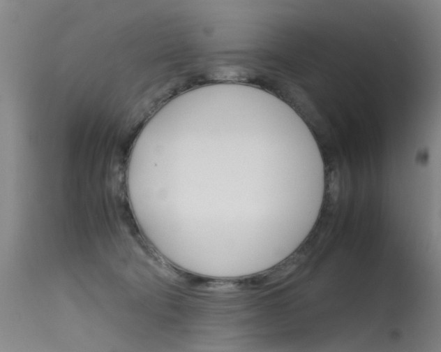 X0000115720322200911121109