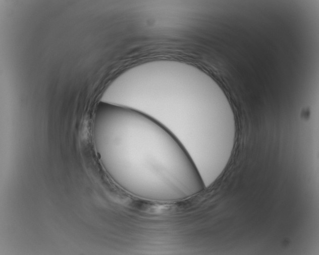 X0000115720323200911121109