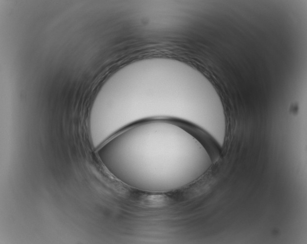 X0000115720324200911121109