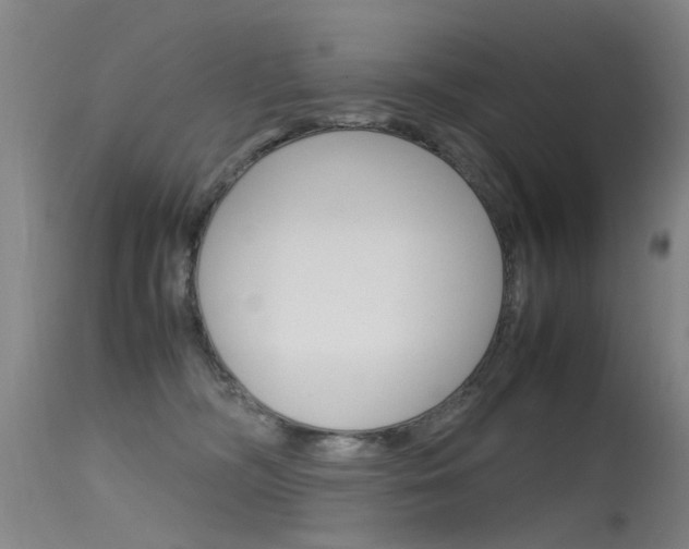 X0000115720326200911121109