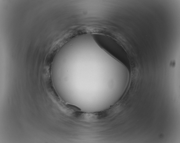X0000115720327200911121109