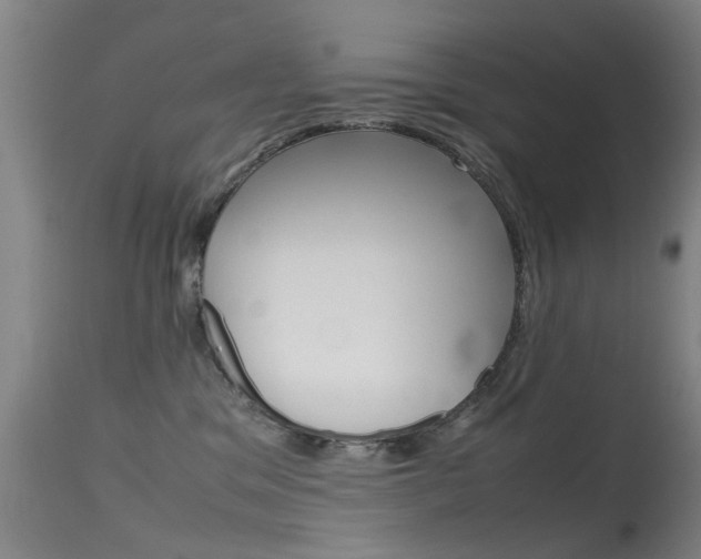 X0000115720329200911121109