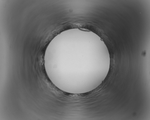 X0000115720331200911121109
