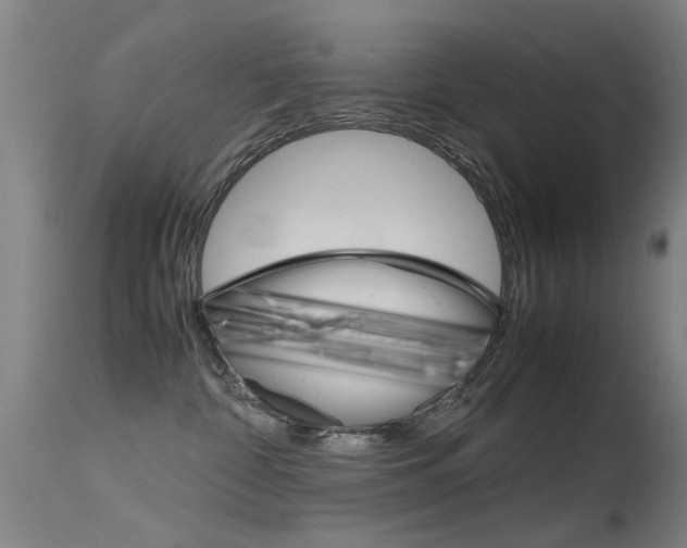 X0000115720332200911121109