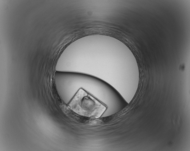 X0000115720333200911121109