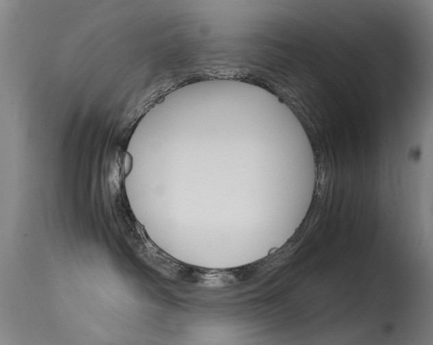 X0000115720334200911121109