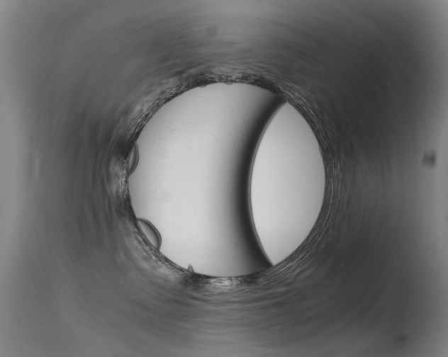X0000115720335200911121109