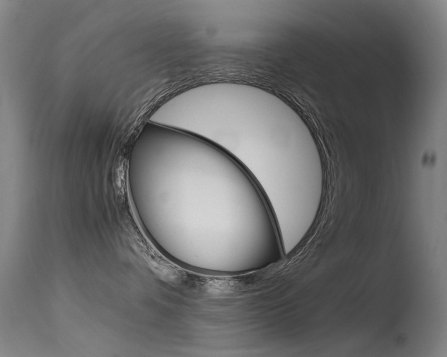 X0000115720336200911121109