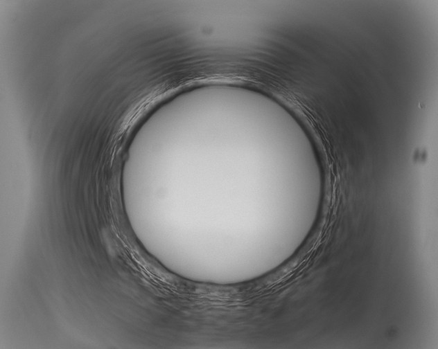 X0000115720337200911121108