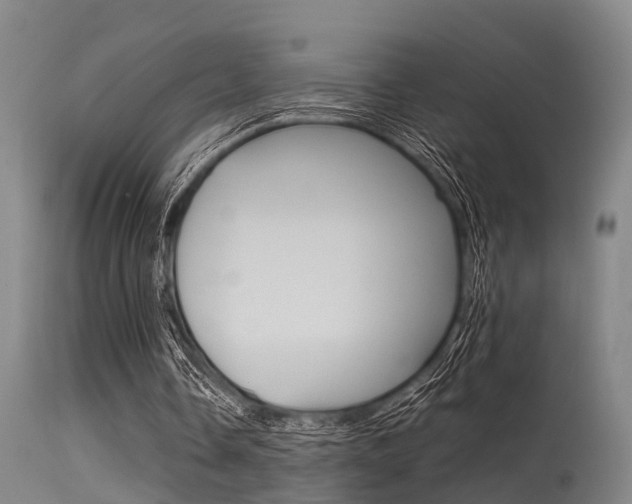 X0000115720338200911121108