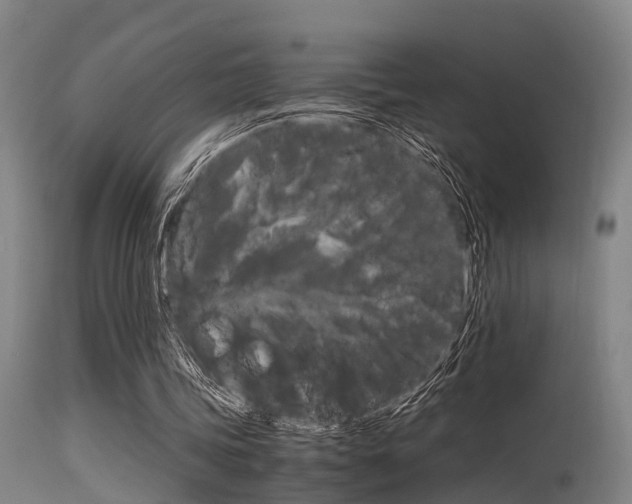 X0000115720339200911121108