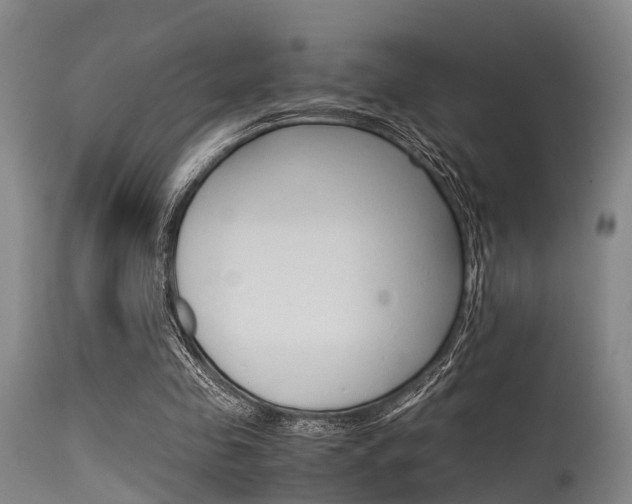 X0000115720341200911121108